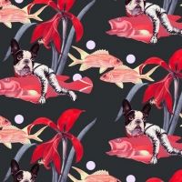 BABOON TO THE MOON Pop-up Event on Sunday, 1/26 in Nolita