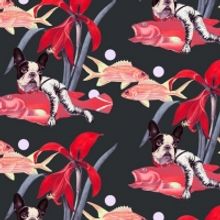 BABOON TO THE MOON Pop-up Event on Sunday, 1/26 in Nolita