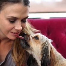 Sutton Foster Will Support Two Initiatives to Help Shelter Animals in Need