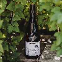 THE GOVERNOR'S CUP and BEST IN CLASS for NJ Wine Competition Announced