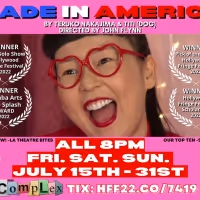 MADE IN AMERICA by Teruko Nakajima Extends at The Complex Through July