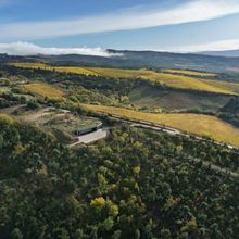 INTERNATIONAL WINE DAY 5/25-Celebrate with Global Selections