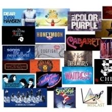 BWW Previews: VIVID THEATRE PRODUCTIONS' BROADWAY MISCAST CABARET SWAPS SONG GENDER a