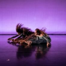 Cherylyn Lavagnino Dance Returns With Salon Performance at NY City Center Studios