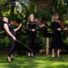 BWW Review: CARNIVAL OF THE ANIMALS at Adelaide Zoo