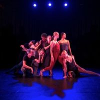 Arts On Site Presents Barkin/Selessin Project This Month