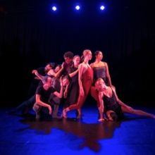 Arts On Site Presents Barkin/Selessin Project This Month