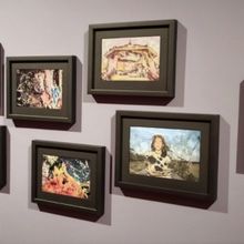 El Museo De Arte Moderno Presenta Flor De Fuego. Rí'yuu ágù, Exposición Individua