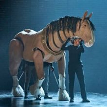 BWW Review: ANIMAL FARM, Richmond Theatre