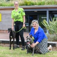 Jodie Prenger Visits Birmingham Dog's Home