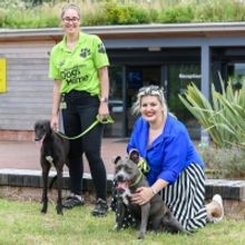Jodie Prenger Visits Birmingham Dog's Home