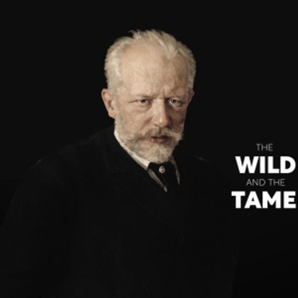 Kendall Square Orchestra Opens 2025–26 Season With THE WILD AND THE TAME At Sanders Photo