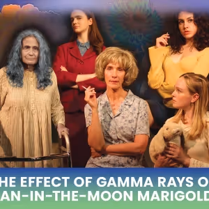 The Open Eye Theatre to Present THE EFFECT OF GAMMA RAYS ON MAN-IN-THE-MOON MARIGOLDS