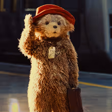 Is A PADDINGTON Transfer Imminent? Signs Appear Around Broadway