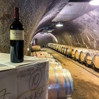 MORAGA BEL AIR VINEYARDS for Distinctive Red and White Estate Wines