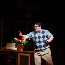 BWW Review: LITTLE SHOP OF HORRORS at Arizona Broadway Theatre