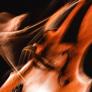 Portland Cello Project Share 'Winter Wonderland'