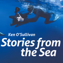 STORIES FROM THE SEA Will Debut at The Everyman