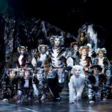 BWW Review: CATS at the Sands Theatre, what a fantastic mewsicle!