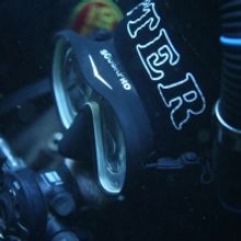 VIDEO: Watch the Trailer for DAVE NOT COMING BACK