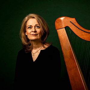 THE CELTIC HARP: ECHOES ACROSS TIME is Coming to Performing Arts Center, Brewster