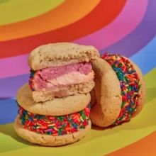 BEATNIC and BIG GAY ICE CREAM Partner on Ice Cream Sandwiches for Pride Month