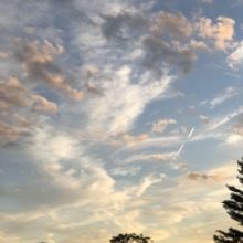 Members Of The American Symphony Orchestra Come to The Morris Museum, October 17