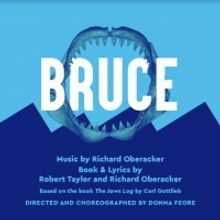 BRUCE, New Musical Based On THE JAWS LOG, to Have World Premiere At Seattle Rep Summe