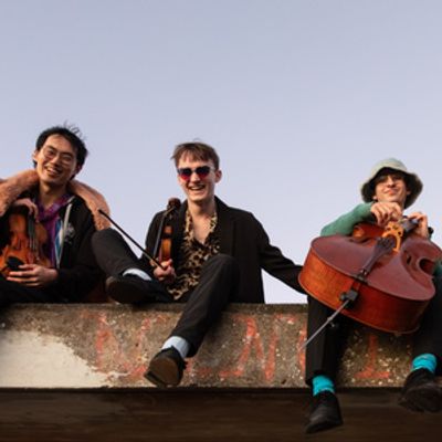 Ian Maloney to Lead DOLPHINS QUARTET Workshop at Summer String Festival