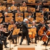 Pacific Symphony Presents Virtual Series SUMMER REPLAY