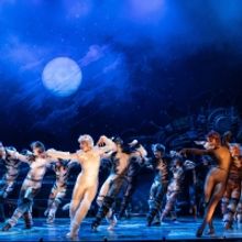 BWW Review: CATS at The Orpheum Theatre Memphis