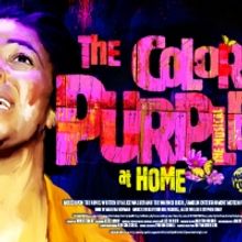Curve To Stream THE COLOR PURPLE AT HOME In Association With Birmingham Hippodrome