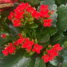 Student Blog: Dealing With End-of-Semester Burnout