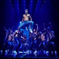 BWW Review: MAGIC MIKE LIVE at The Arcadia, Birrarung Marr
