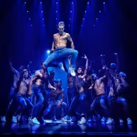 BWW Review: MAGIC MIKE LIVE at The Arcadia, Birrarung Marr