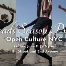 Amanda Selwyn Dance Theatre Announces in Person Performances in June