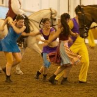JoAnna Mendl Shaw, Artistic Director Of The Equus Projects, Releases 'Physical…