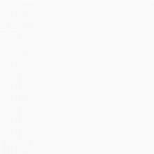 Brooklyn Podcast Festival 2020 Releases Lineup