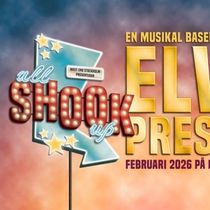 Review: ALL SHOOK UP at Diesleverkstaden