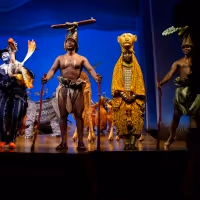 THE LION KING, WICKED & More to Take Part in TDF's 11th Season of Autism Friendly…