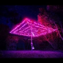 Brisbane Festival Announces 2020 Programme