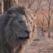 Video: 'Bye Bye' Musical Sequence From Disney's MUFASA: THE LION KING
