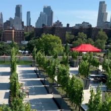 ROOFTOP REDS in Brooklyn-Events to Know About