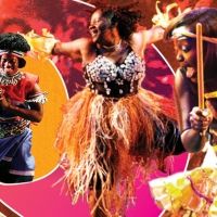 BAM to Present DanceAfrica Festival 2022 Featuring New Events and Annual Favorites Interview