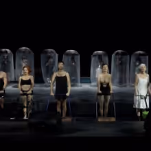 VIDEO: Theatre Basel Produktionstrailer Alte Tiere Hochgestapelt