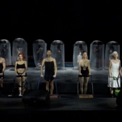 VIDEO: Theatre Basel Produktionstrailer Alte Tiere Hochgestapelt