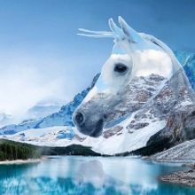 Plano Art Association's 125 SHOW is Now on at The Eisemann Center