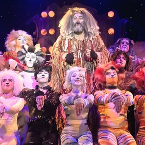 CATS Now Playing At Broadway Palm Dinner Theatre