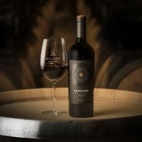 Experience Unánime Wines from the Mascota Vineyards of Argentina