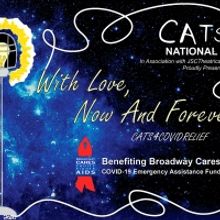 VIDEO: Check Out a Preview of the WITH LOVE, NOW AND FOREVER! CATS4COVIDRELIEF Fundra